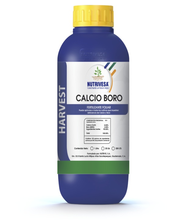 Calcio Boro