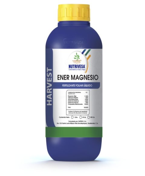 Ener Magnesio