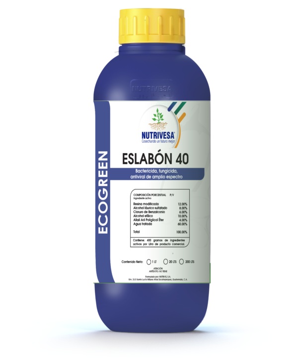 Eslabón 40