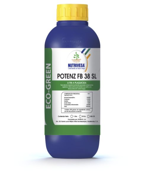 Potenz F.B.